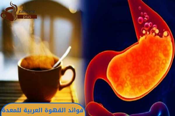 فوائد القهوة العربية للمعدة ‫‬
