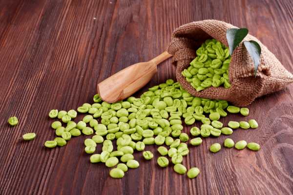 طريقة عمل القهوة الخضراء للتخسيس|مسحوق حبوب البن الأخضر لإنقاص الوزن